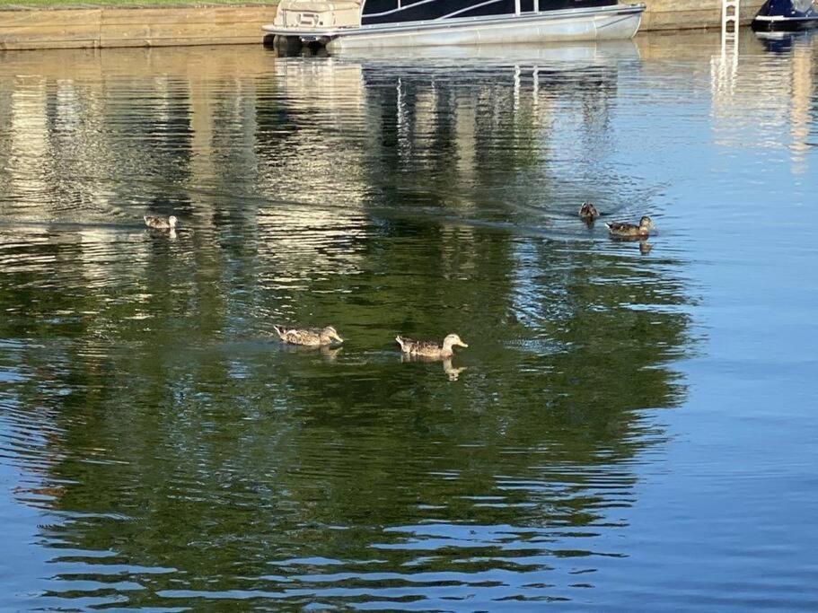 Lakeside Daze! 몽고메리 외부 사진
